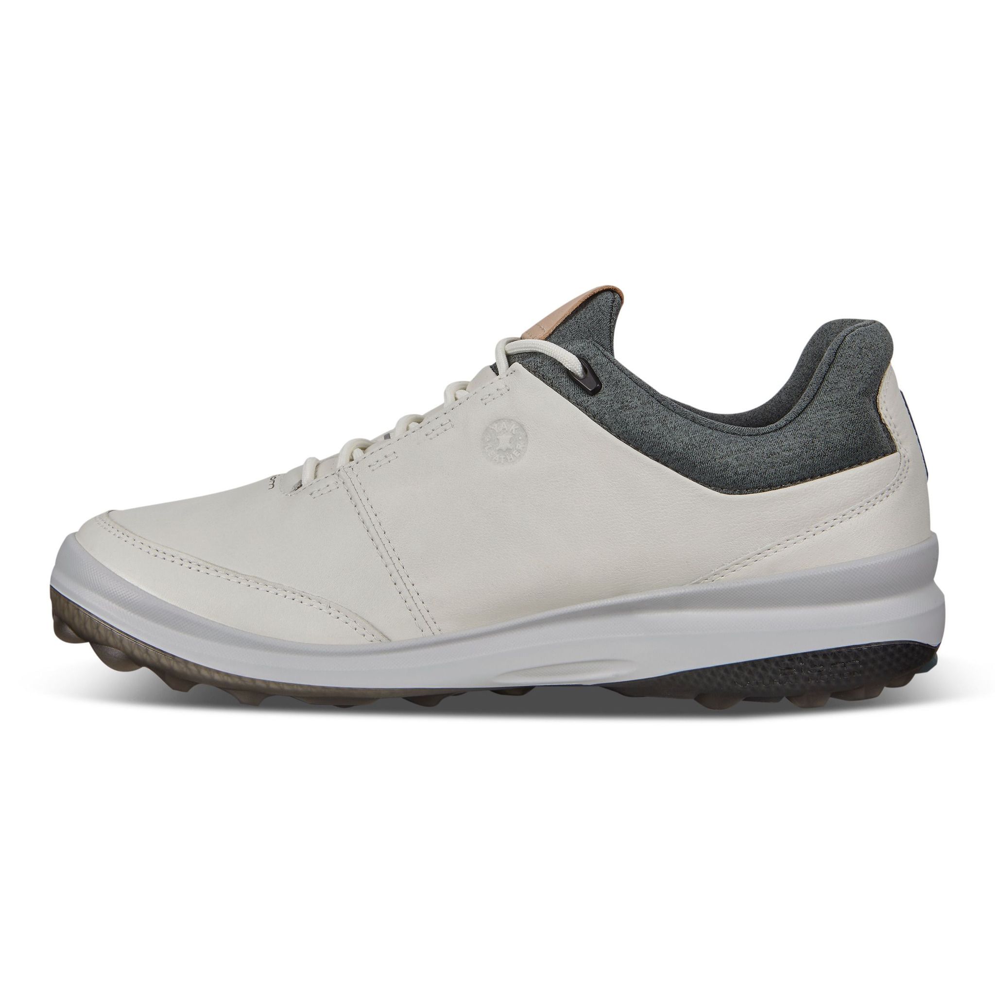 Ecco M Biom Hybrid 3 White/Lake/Racer Yak Herren