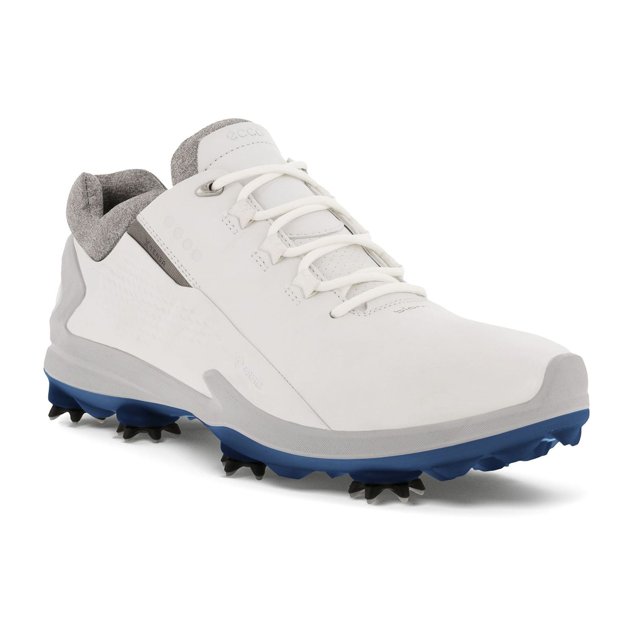 Ecco Biom G3 chaussures de golf hommes