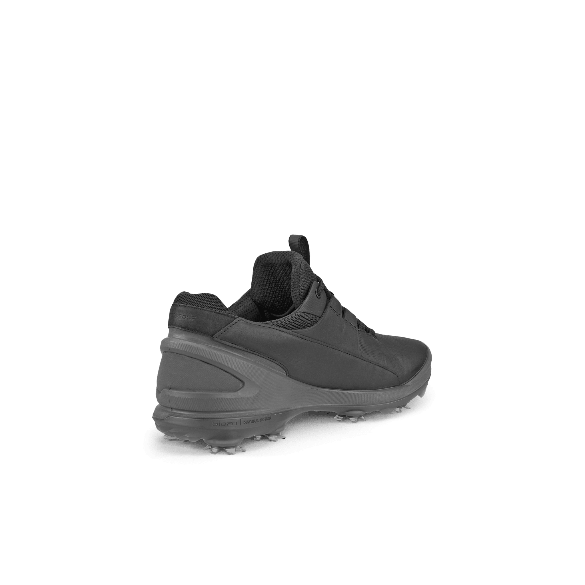 Ecco Biom Tour chaussures de golf hommes