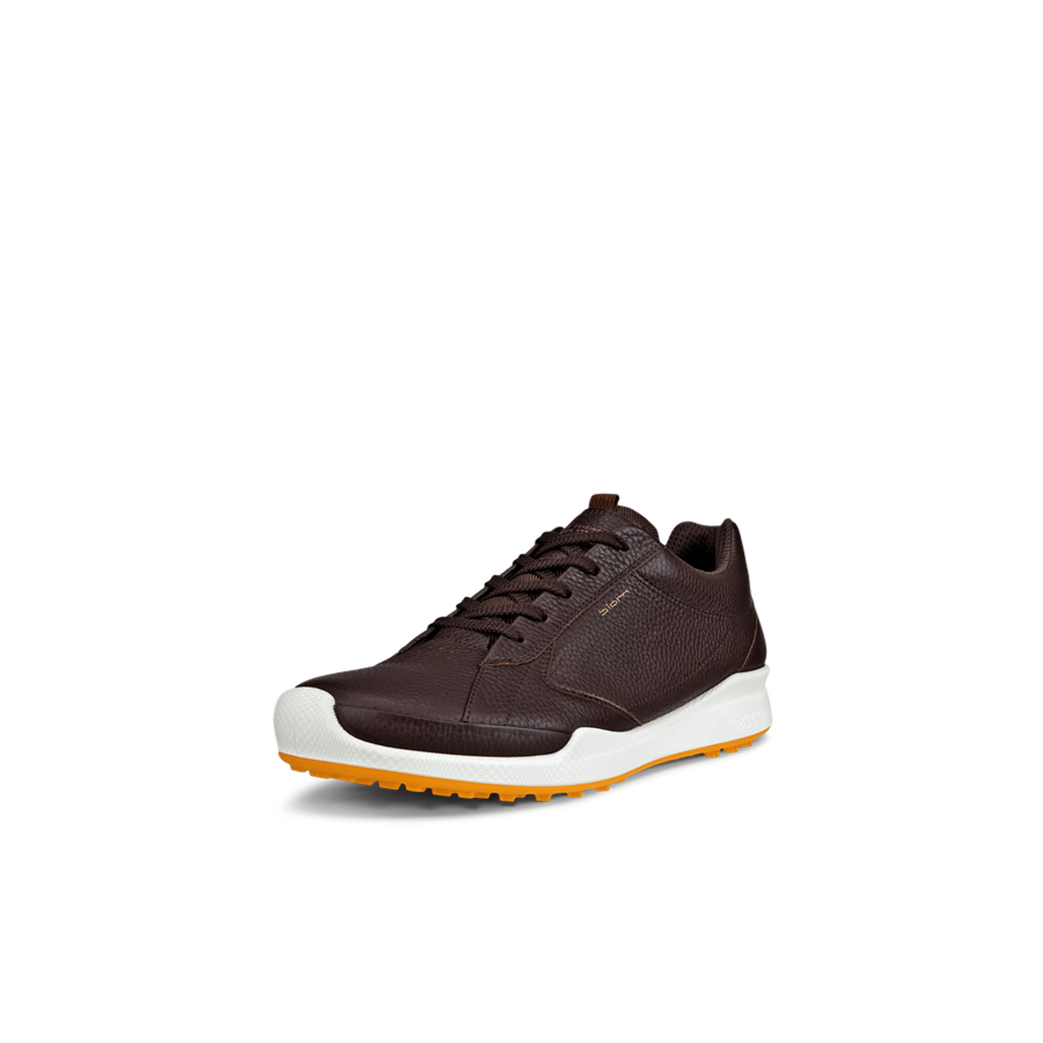 Chaussures de golf hybrides Ecco Biom Hommes