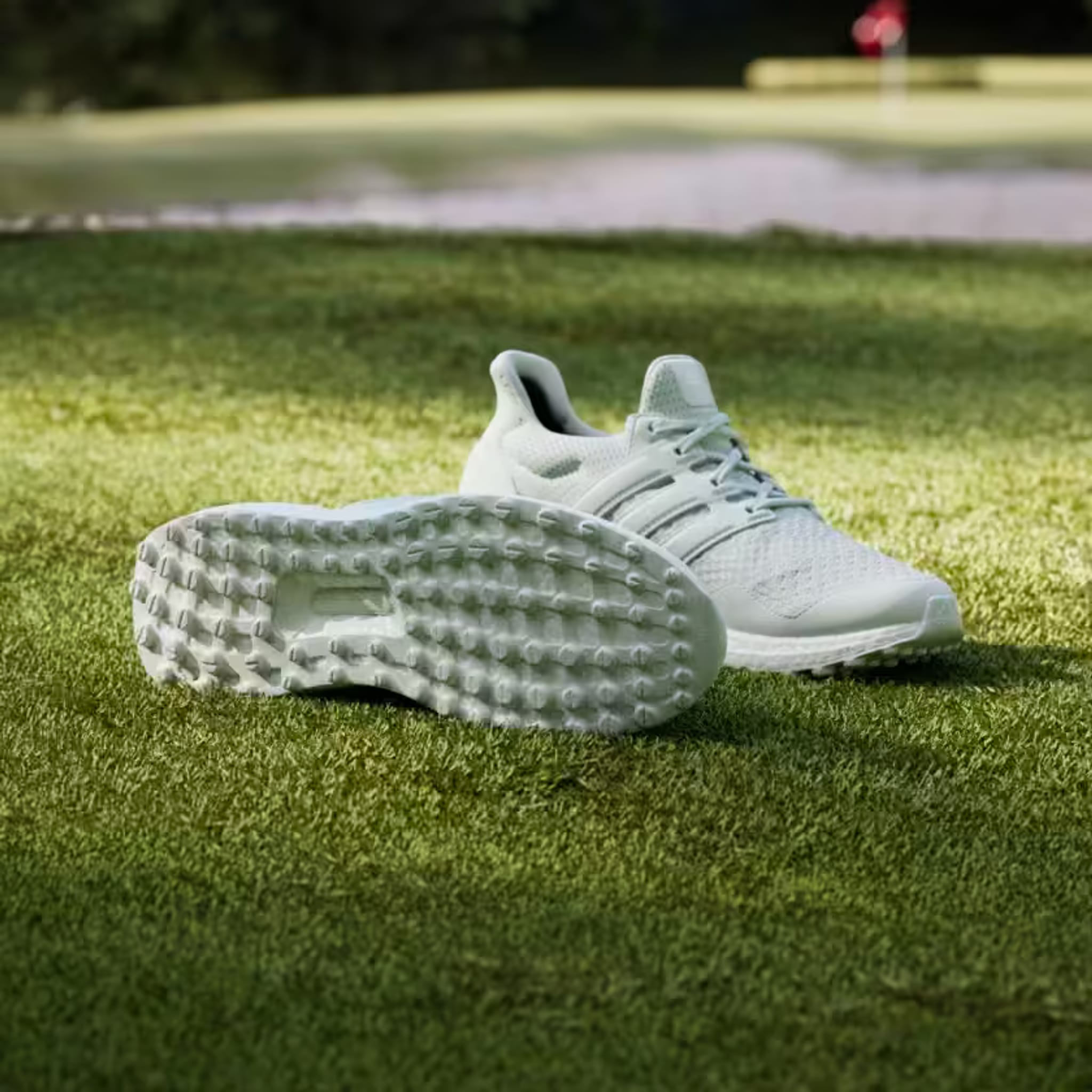 Chaussure de golf Adidas Ultraboost