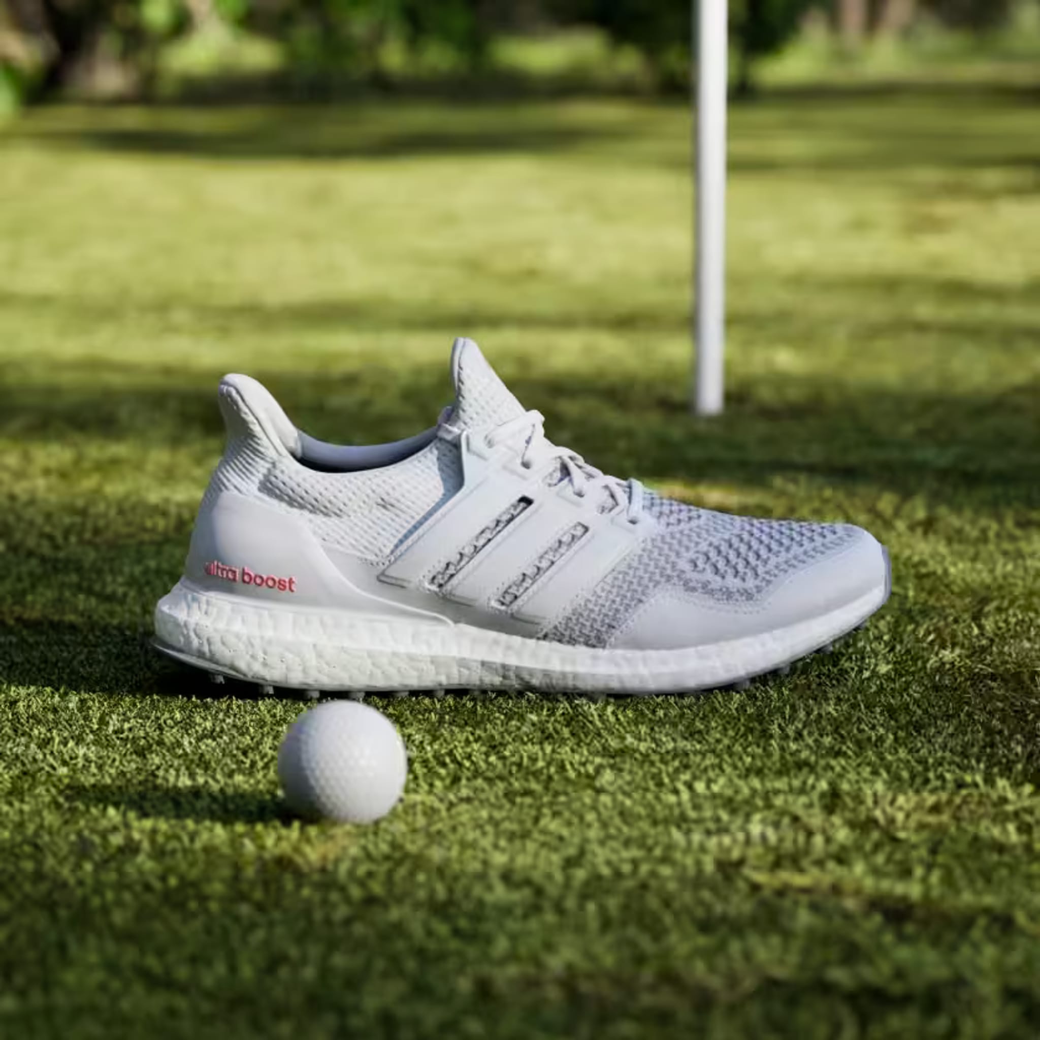 Chaussure de golf Adidas Ultraboost