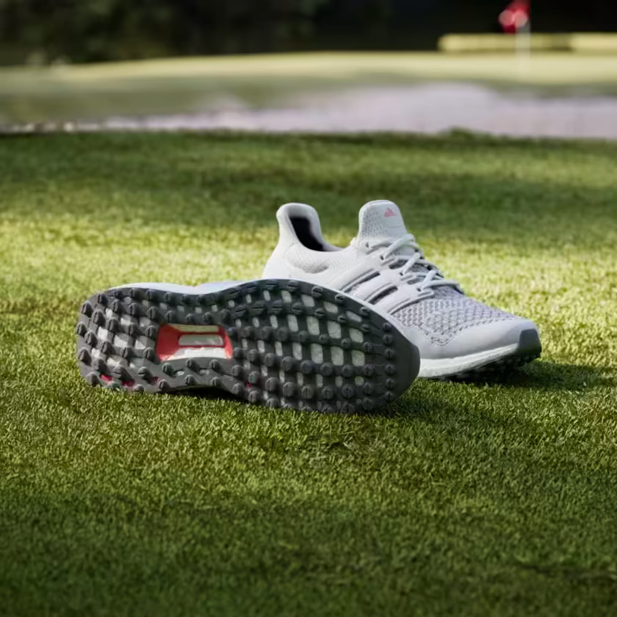 Chaussure de golf Adidas Ultraboost