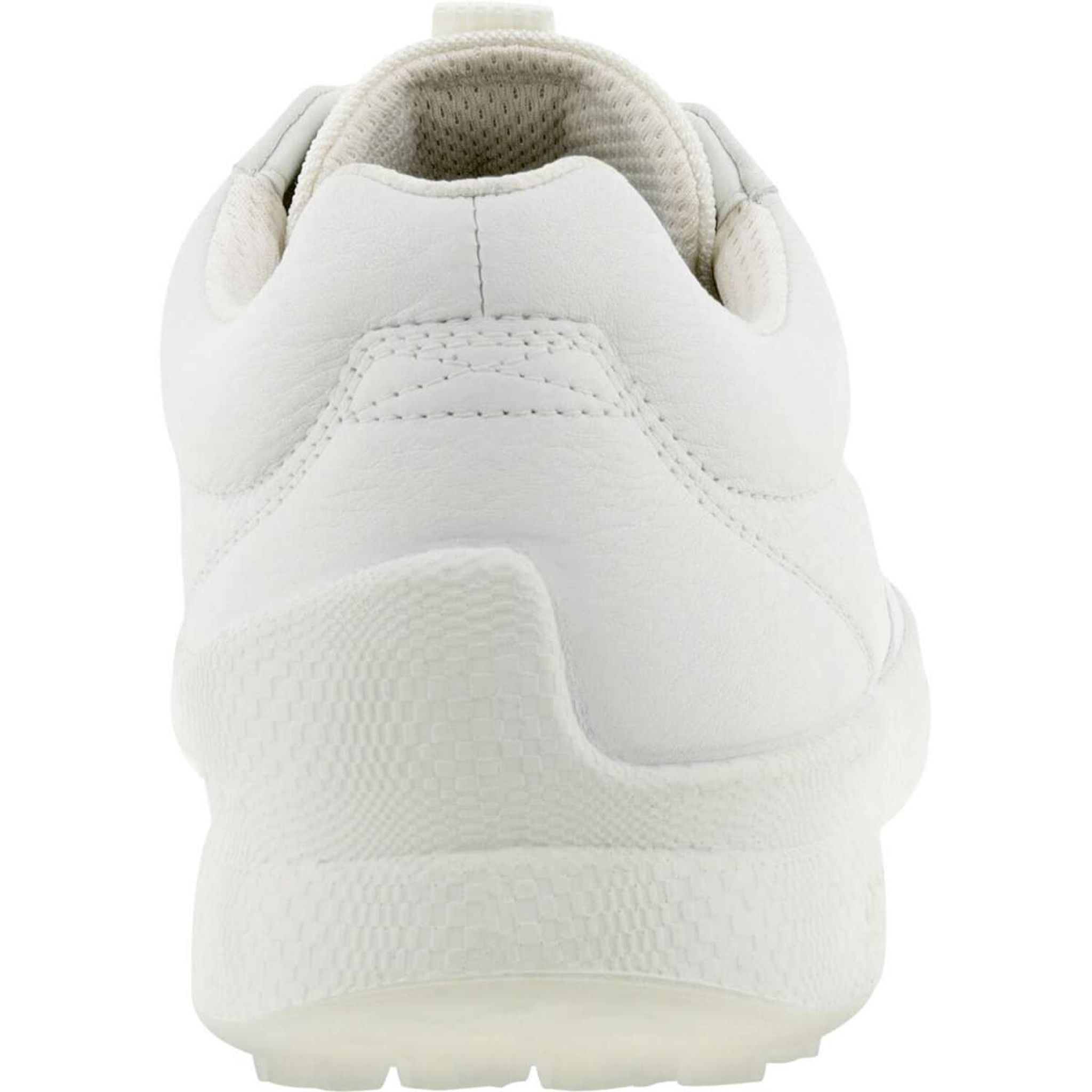 Chaussures de golf hybrides Ecco BIOM Hommes