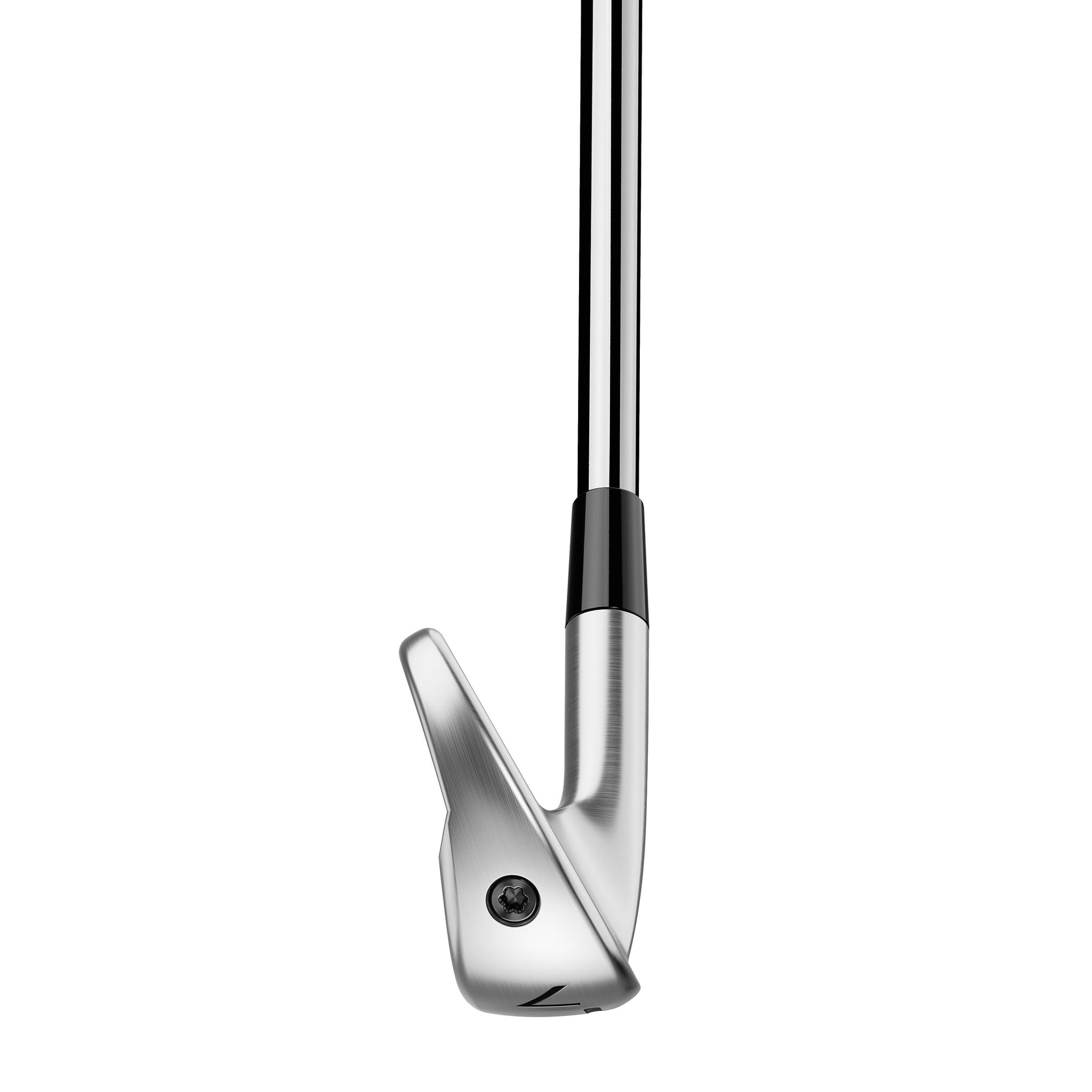 Ensemble de fers TaylorMade P790 25 pour hommes