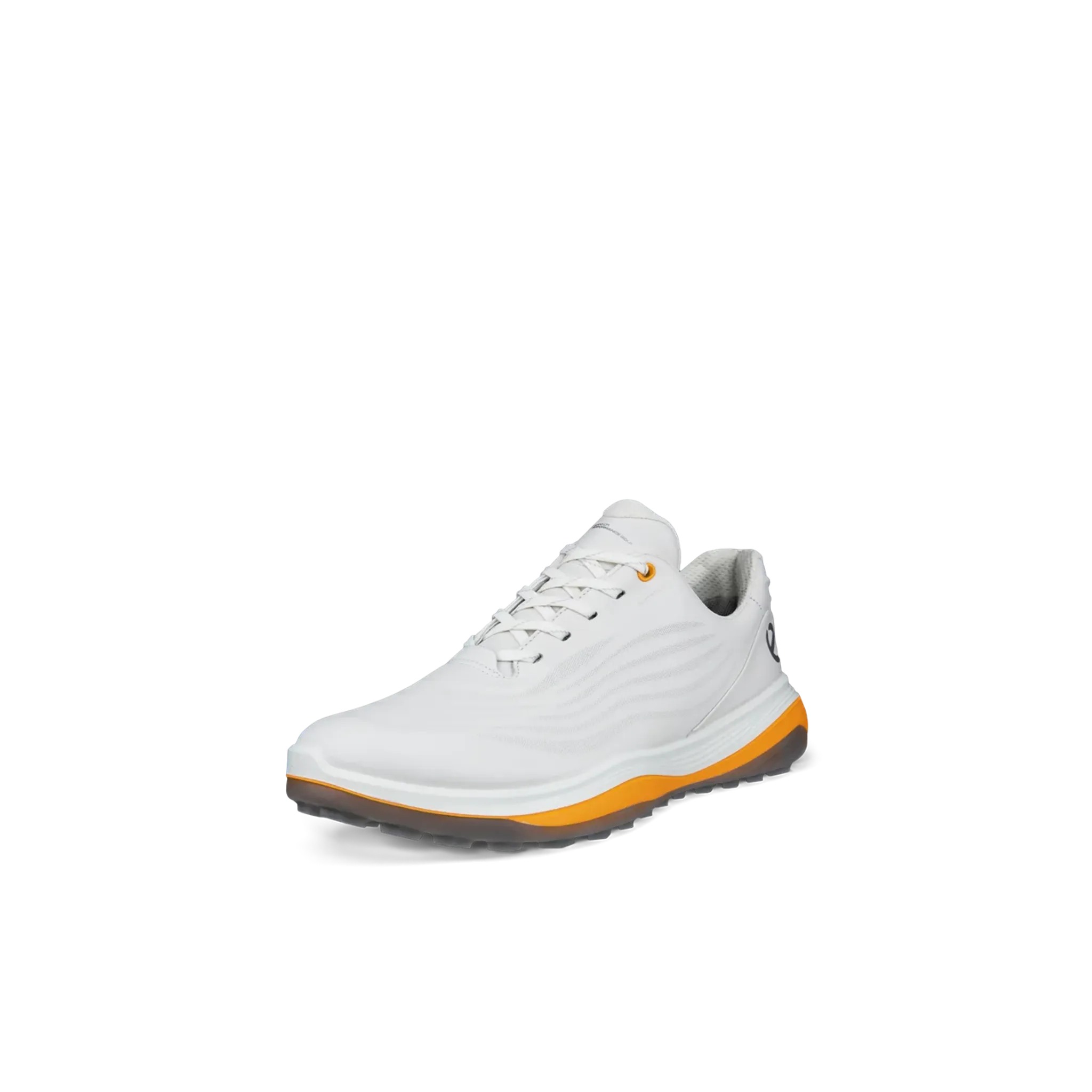 Ecco LT1 chaussures de golf hommes